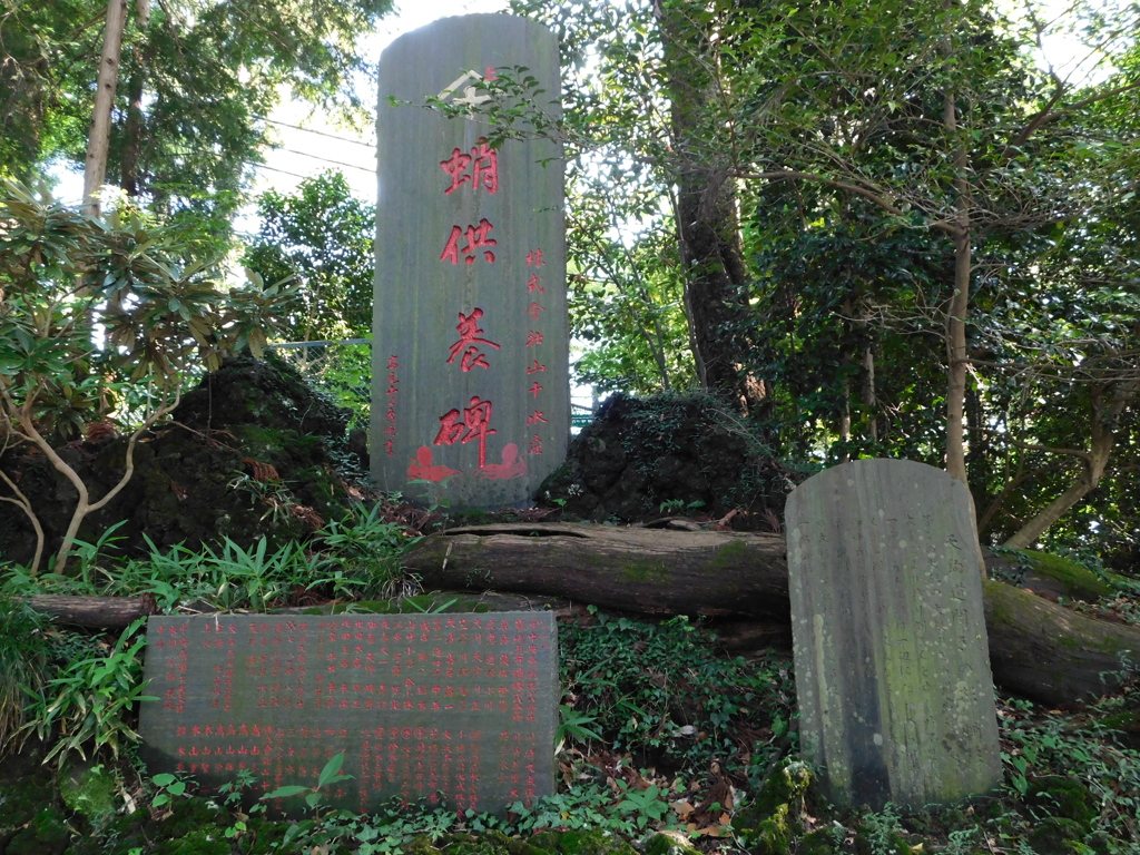 東京都八王子市高尾町~高尾山登山道０１