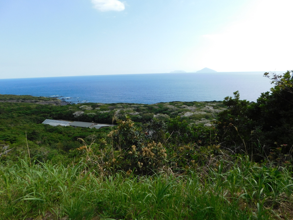 東京都大島～海原０１