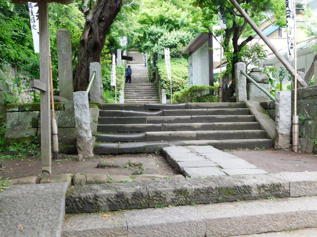 神奈川県鎌倉市～杉本寺０９