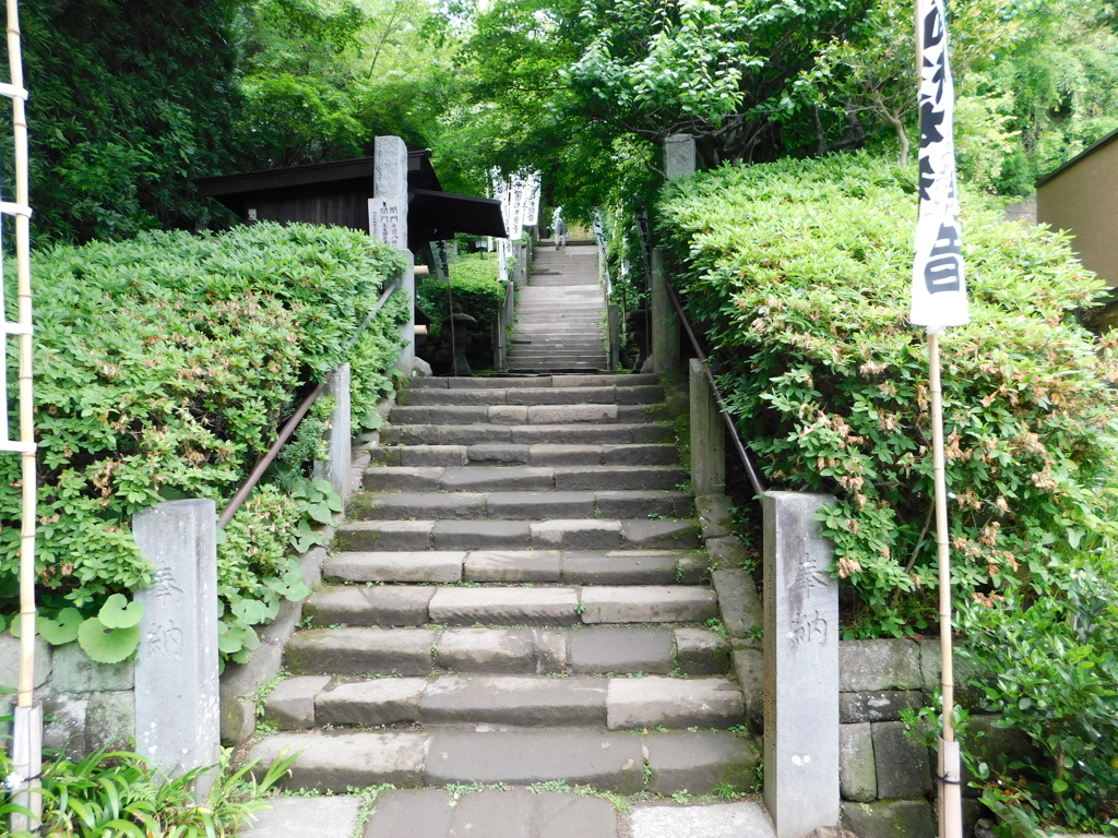 神奈川県鎌倉市～杉本寺０８