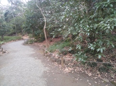 静岡県三島～楽寿園０２