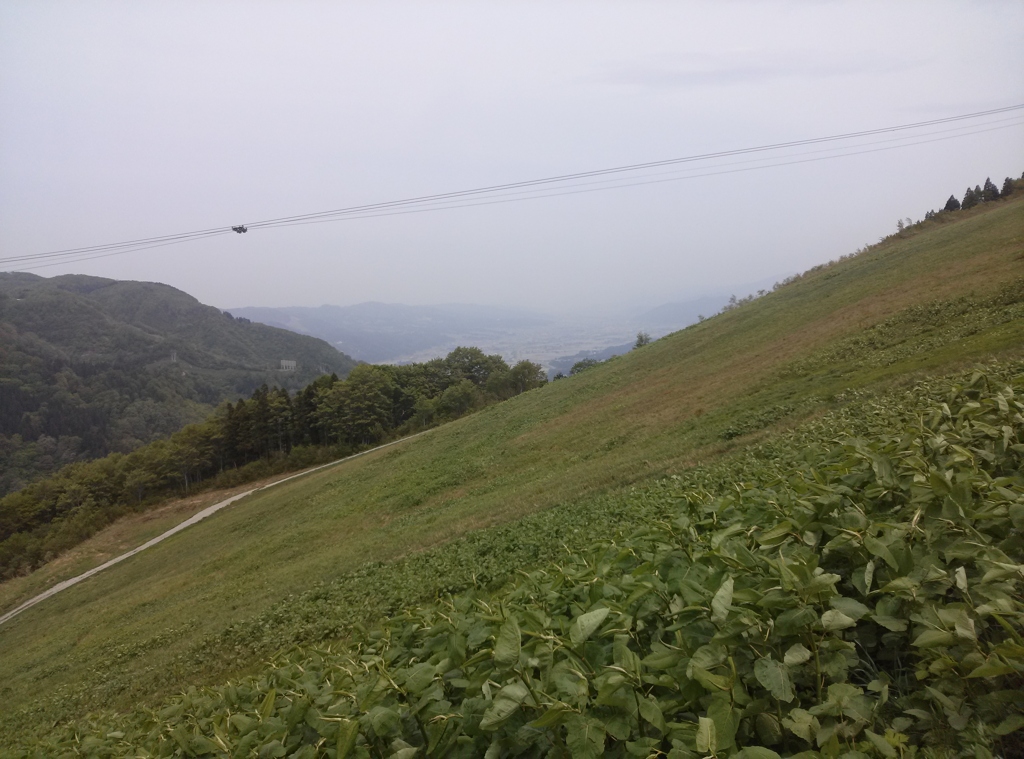 新潟県南魚沼郡湯沢～湯沢高原アルプの里０５