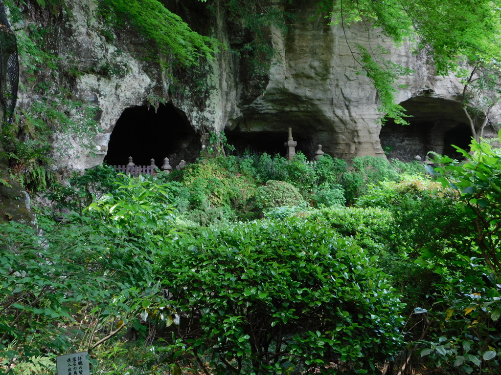 神奈川県鎌倉市～報国寺０６