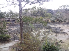 静岡県三島~楽寿園04