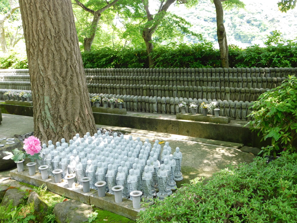 神奈川県鎌倉市～長谷寺０８