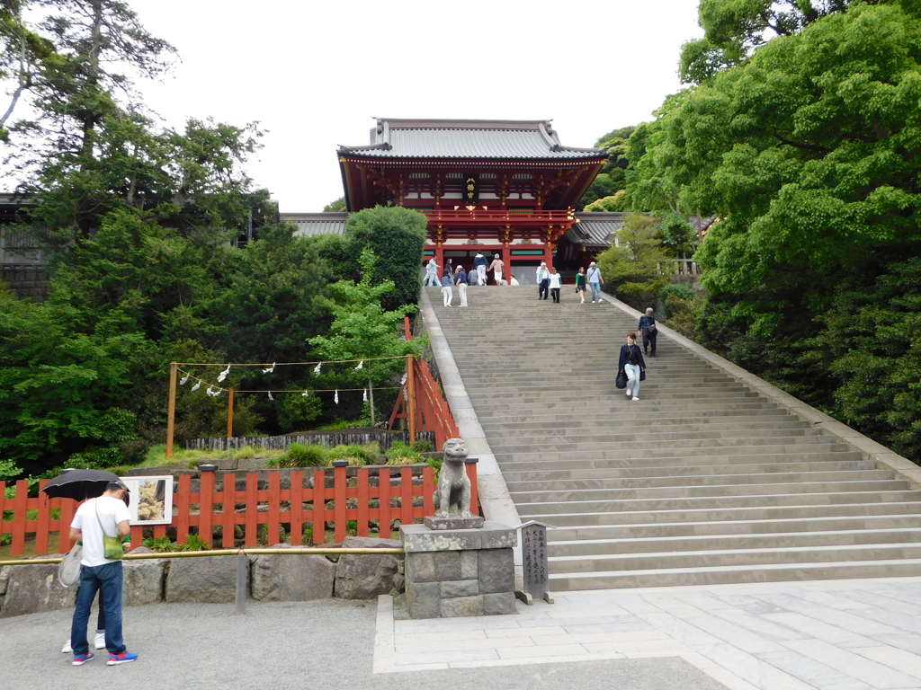 神奈川県鎌倉市～鶴岡八幡宮０９