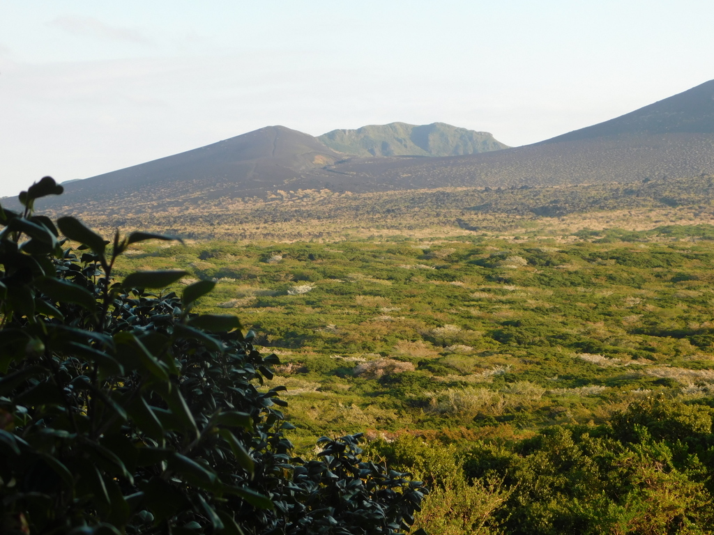 東京都大島～大島温泉ホテル客室展望０４
