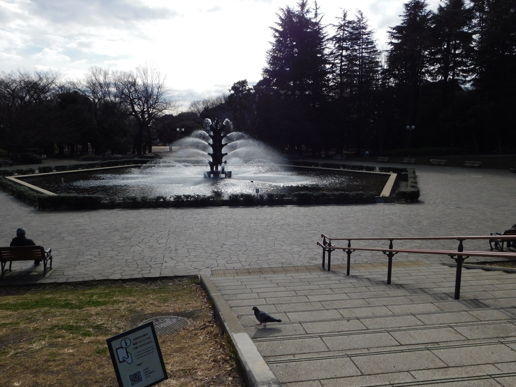 東京都世田谷区～世田谷公園噴水０１