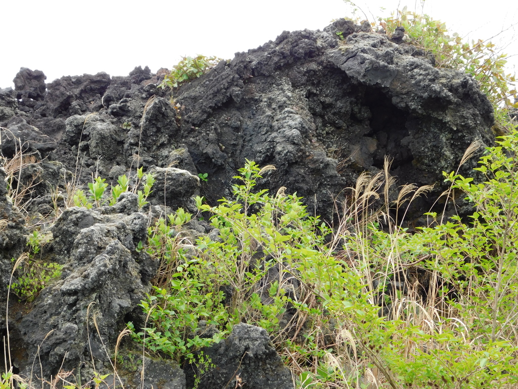 東京都大島～三原山０７