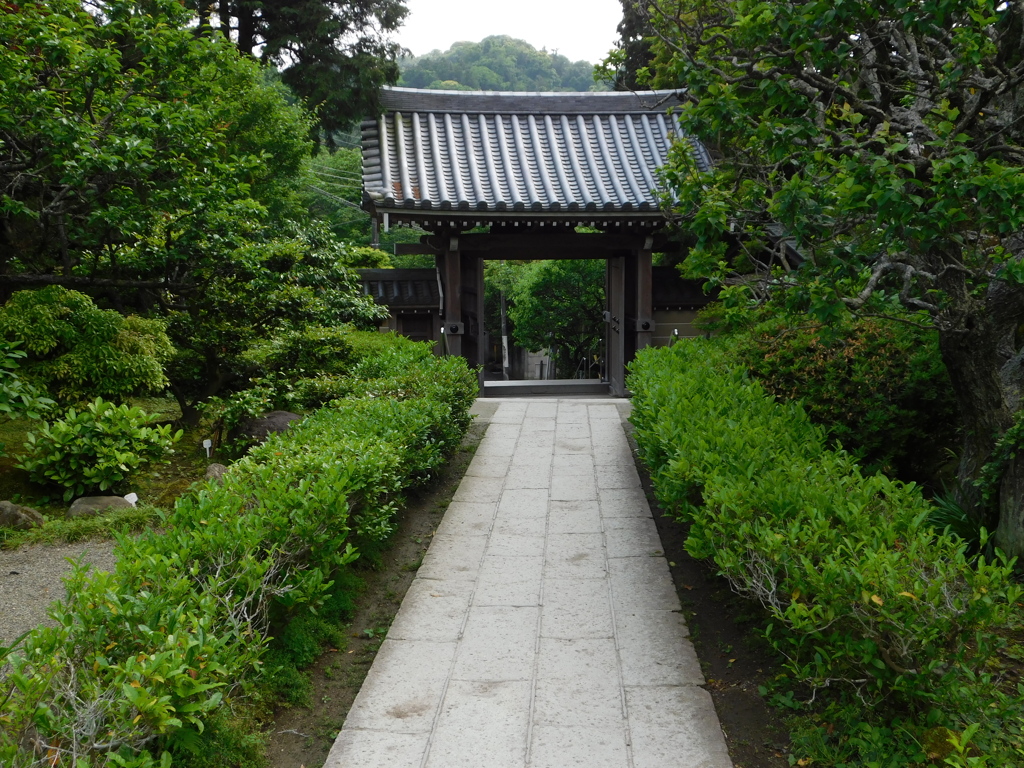 神奈川県鎌倉市～浄妙寺０６