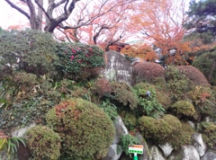 神奈川県箱根町～富士屋ホテル０３