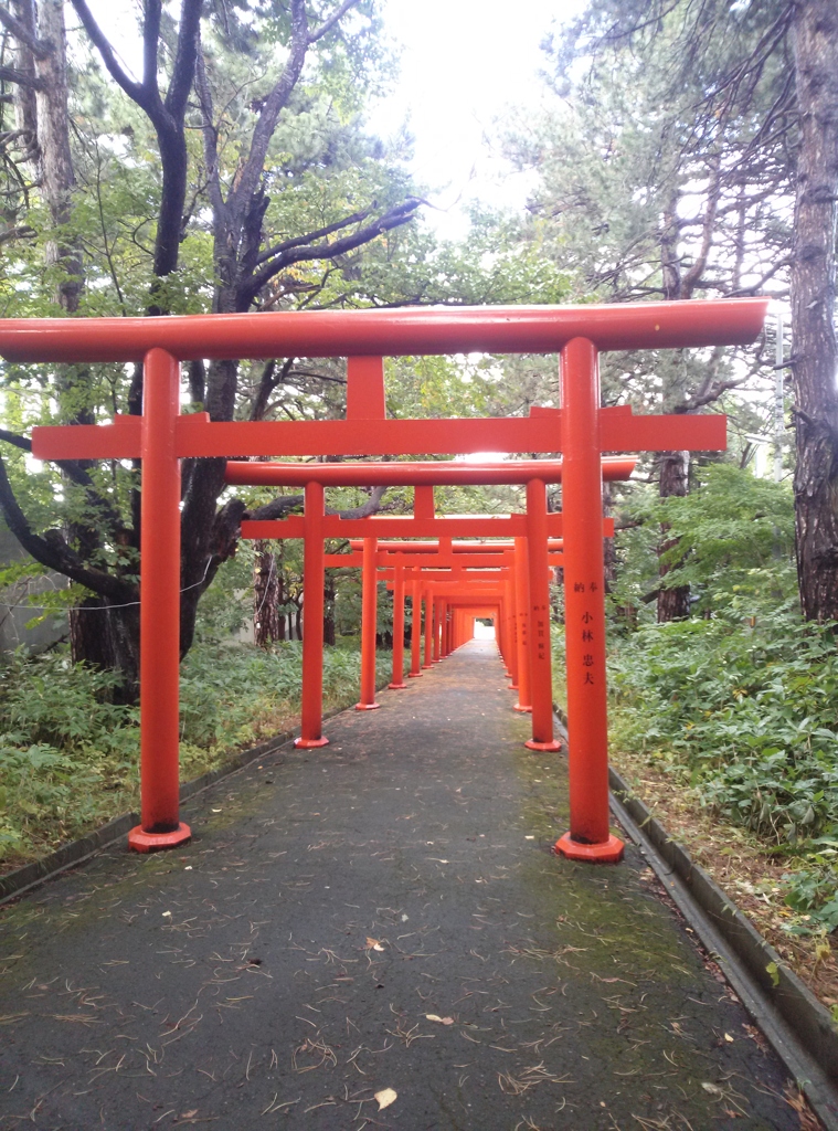 札幌市中央区伏見～札幌伏見稲神社０１