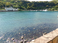 東京都大島～波浮港０２