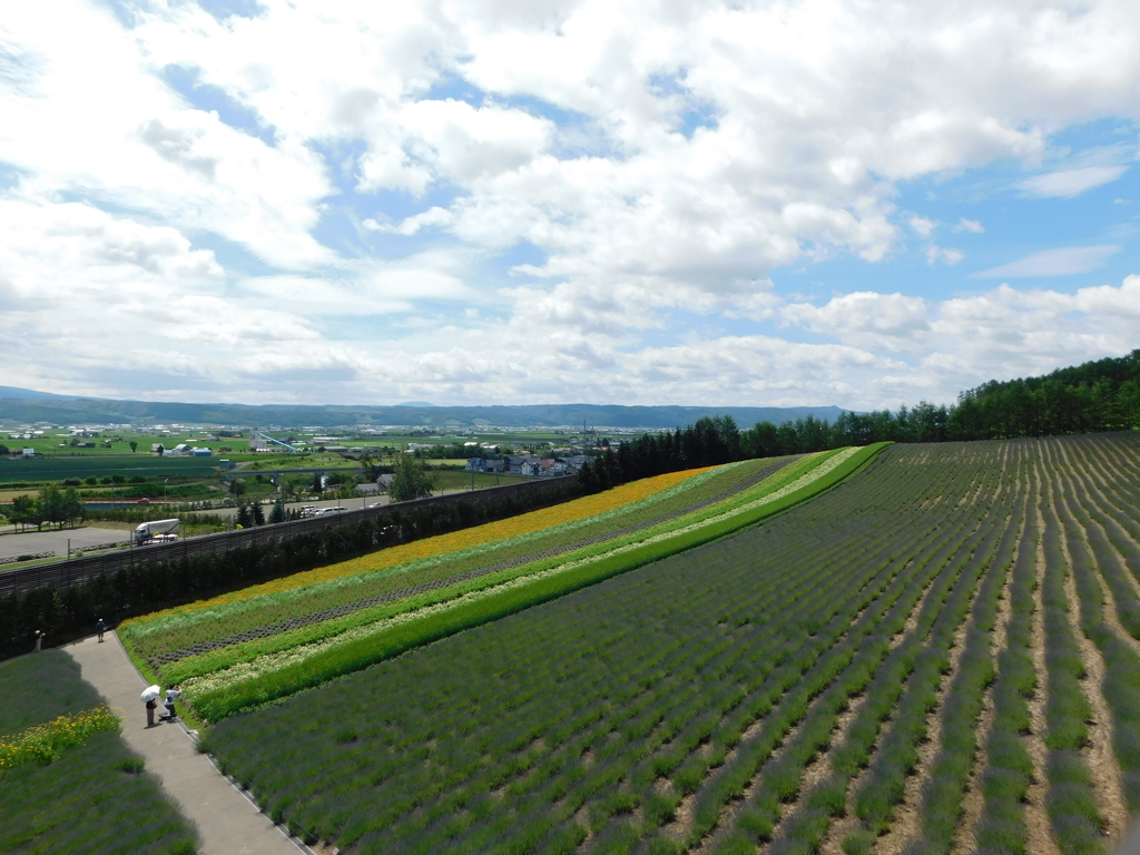 北海道中富良野町～ファーム富田０９