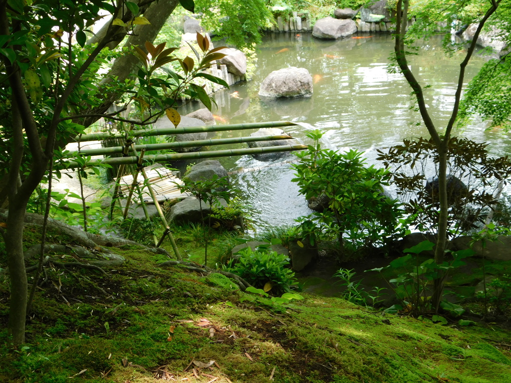 神奈川県鎌倉市～長谷寺０６