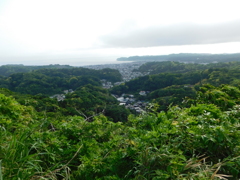 神奈川県鎌倉市~布張山06