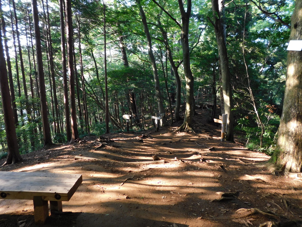東京都八王子市高尾町~高尾山登山道０６