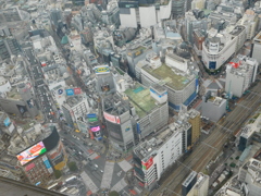 渋谷スクランブル交差点＿昼０１