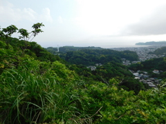神奈川県鎌倉市~布張山08