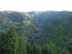 東京都西多摩郡奥多摩町~日原08