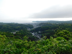 神奈川県鎌倉市~布張山10