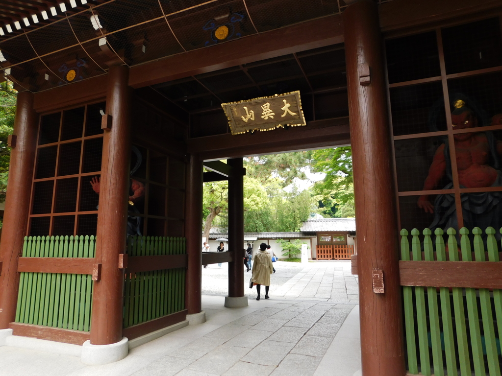 神奈川県鎌倉市～高徳院０４