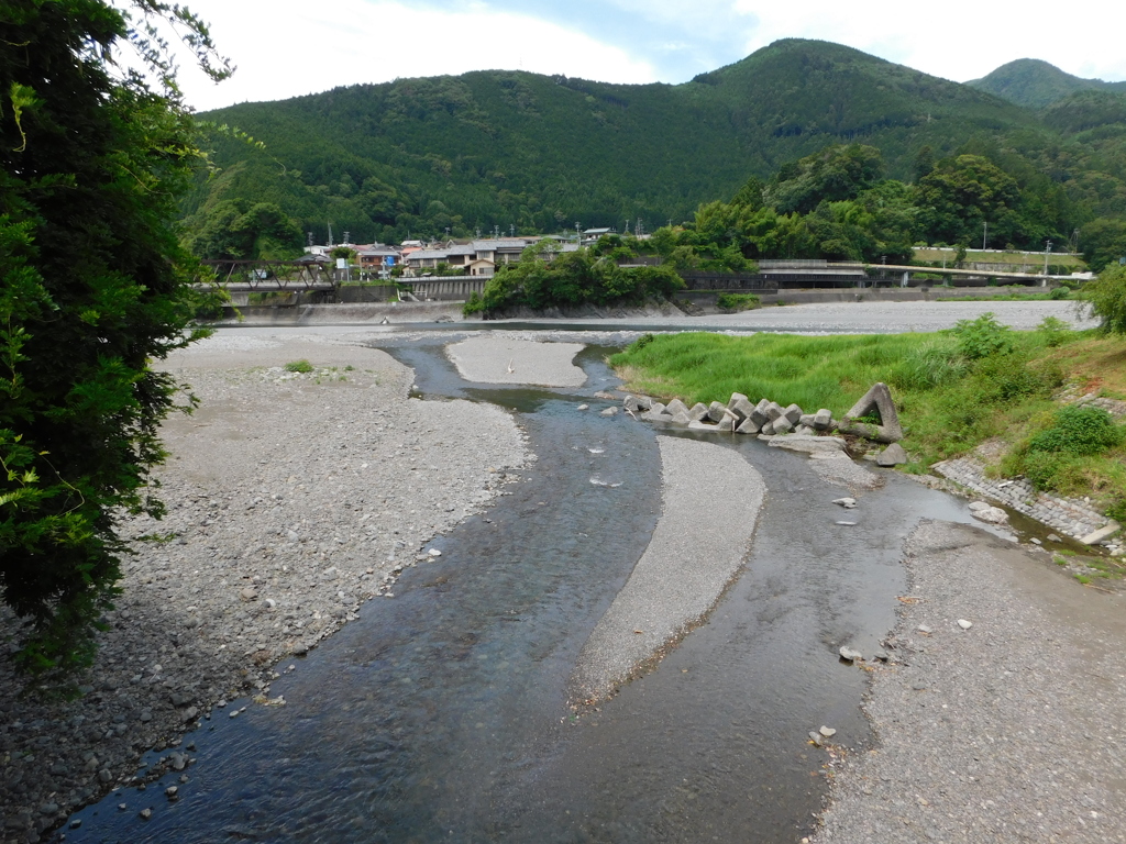 静岡県川根本町千頭～大井川０２