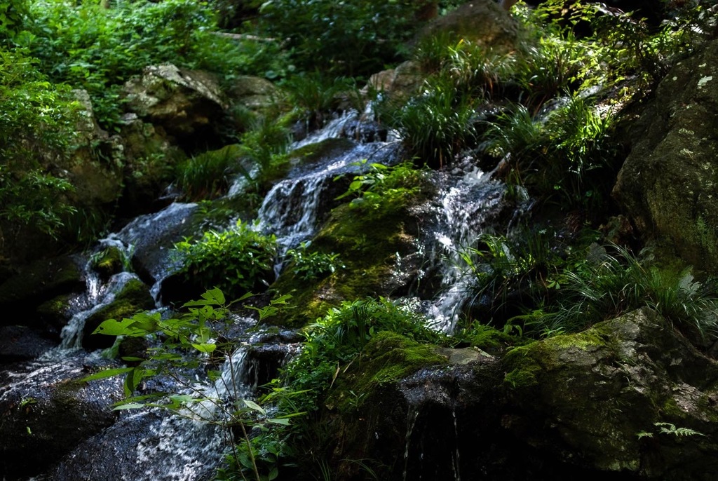 243BD81A-60BE-4A31-9789-E6349994BBCC