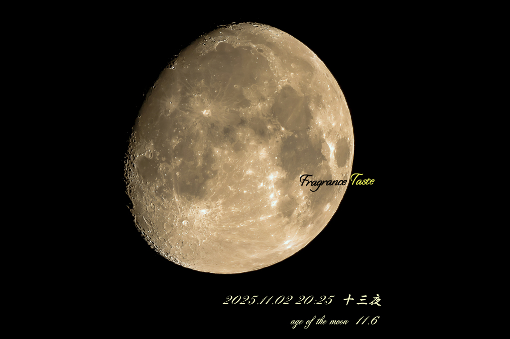 今宵は　十三夜