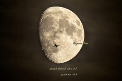 2025.09.03 18：45 moonage 10.9