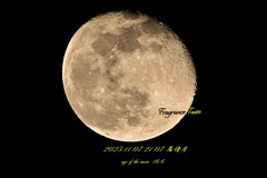 2025.11.07 21：07 居待月　月齢16.6