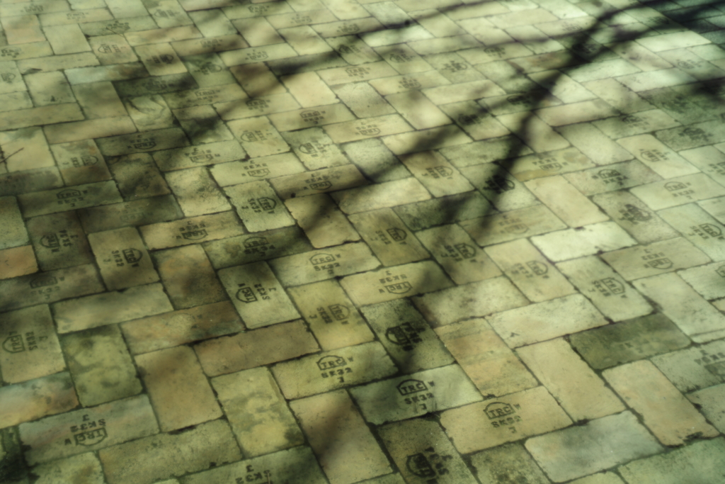 朝のディテール