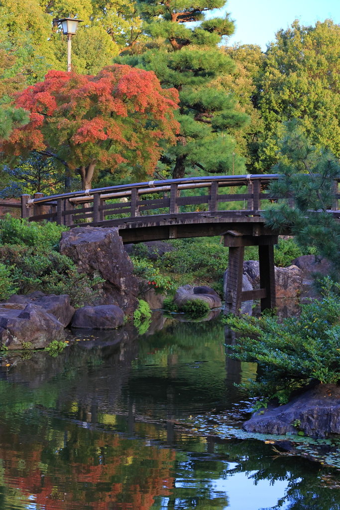 庭園の秋気