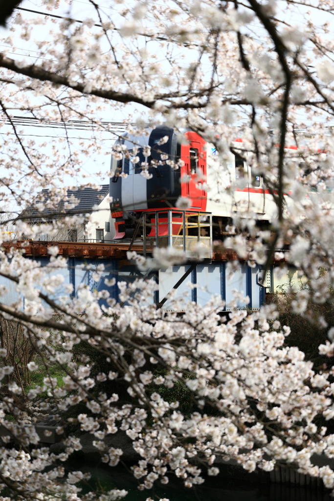 五条川と電車