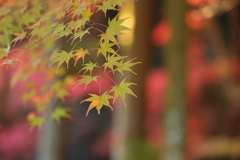 虎渓山永保寺