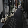 裏通り