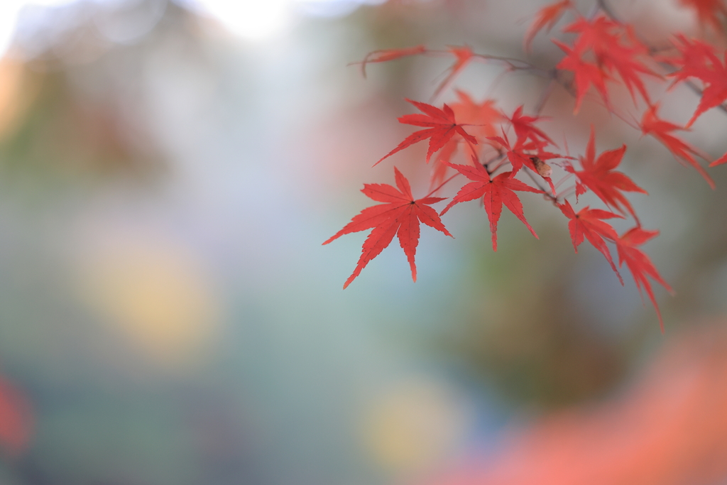 虎渓山永保寺