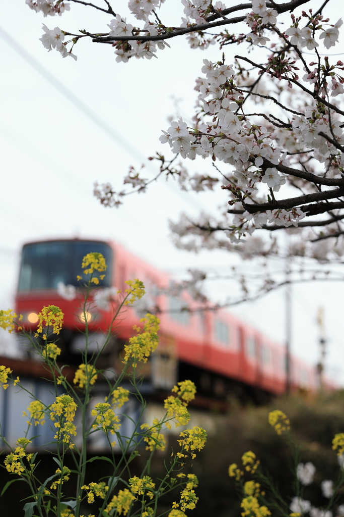 五条川と電車
