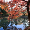 虎渓山永保寺