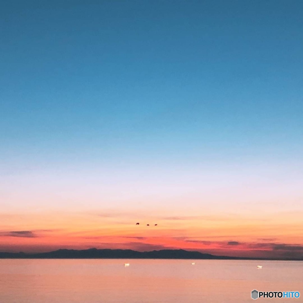 640B67CE-1022-4200-ADB3-838DEFF5AE54