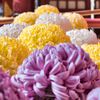 菊祭り