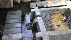 甘くておいしい