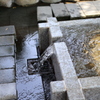 甘くておいしい