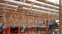 涼・・風鈴