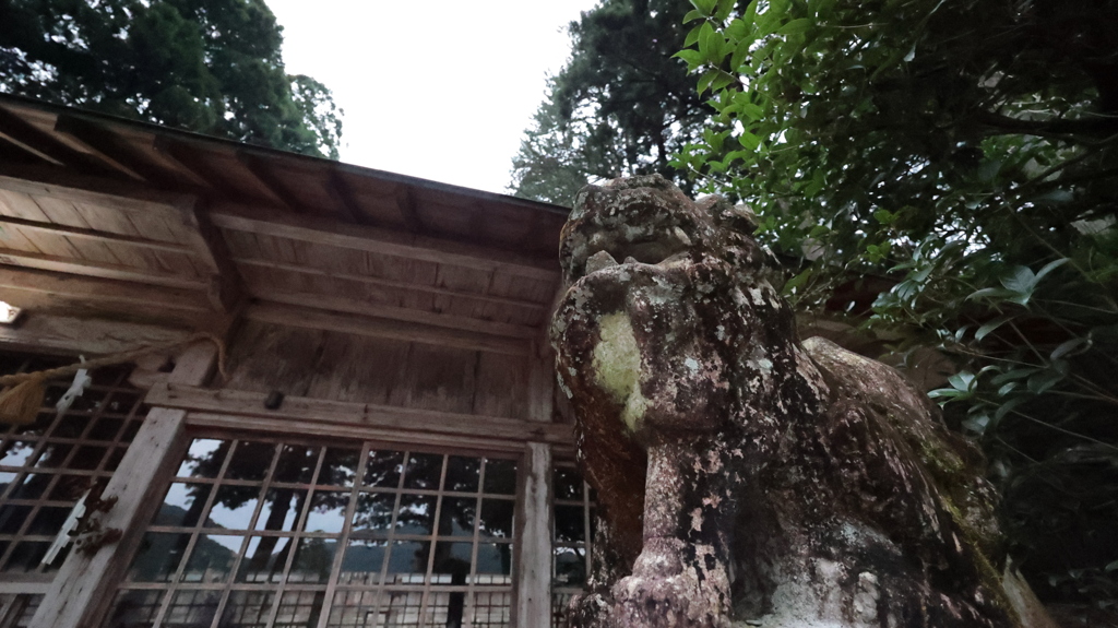 年季