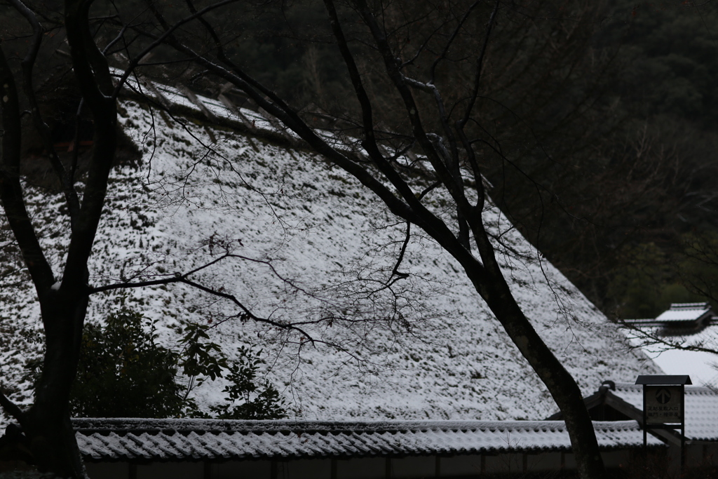 雪を見に・・