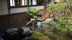 庭園