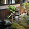 庭園