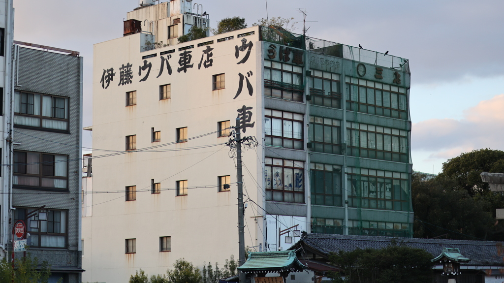 大人仕様だそうです