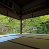 慈恩禅寺